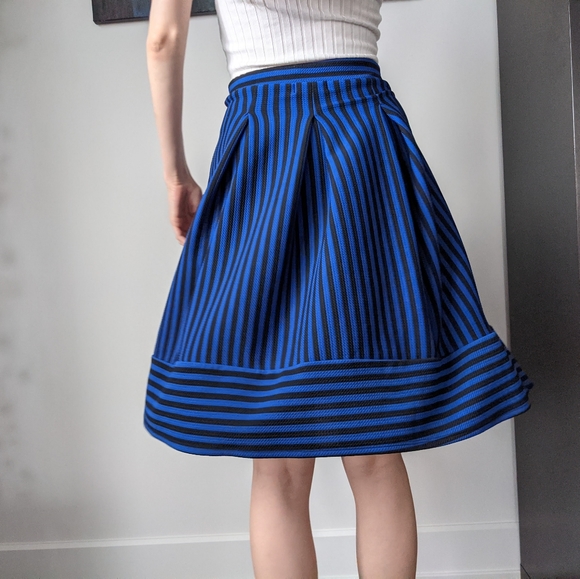 Blue Black Pleated Striped Skirt by Faith and Joy - Picture 2 of 3